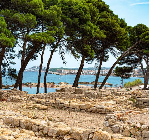 Descobreix l'essència de Castelló d'Empúries