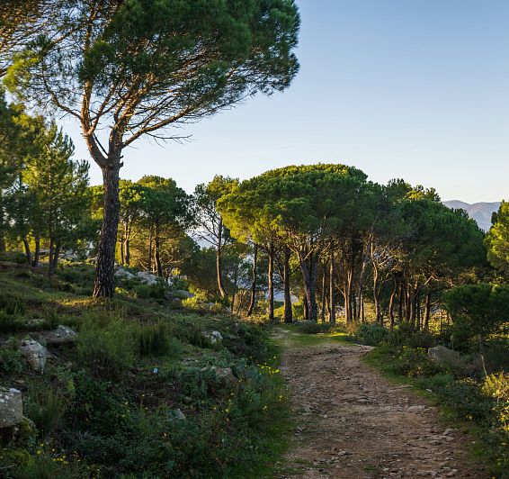 Senders i rutes de senderisme
